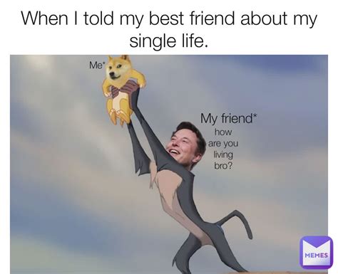 memes single life|best single life memes.